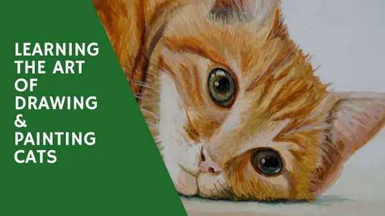 Learning the Art of Drawing and Painting Cats – Book Review